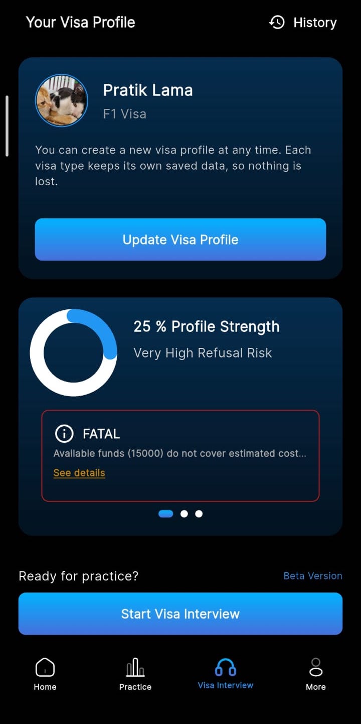 Voyage visa profile analysis